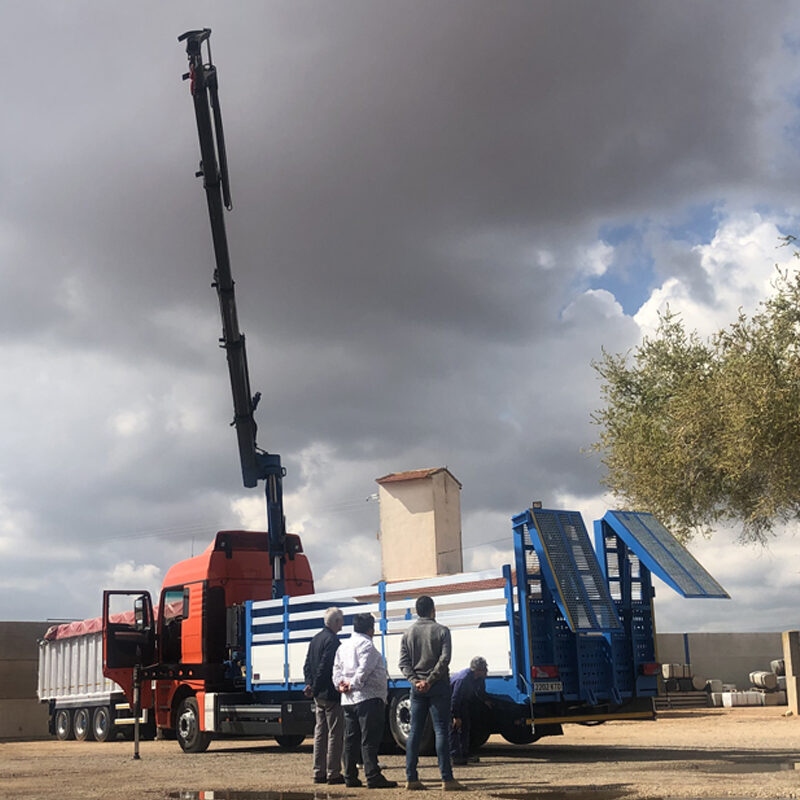 camion pluma con rampas